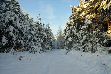 《黑相集》系列第四款游戏泄露 可能和恶魔附身有关