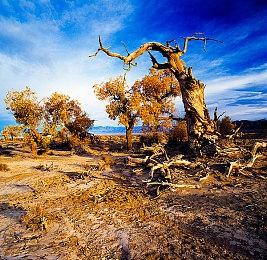 横版动作游戏《英灵士魂》将于6月2日晚9时解锁，游戏定价68元